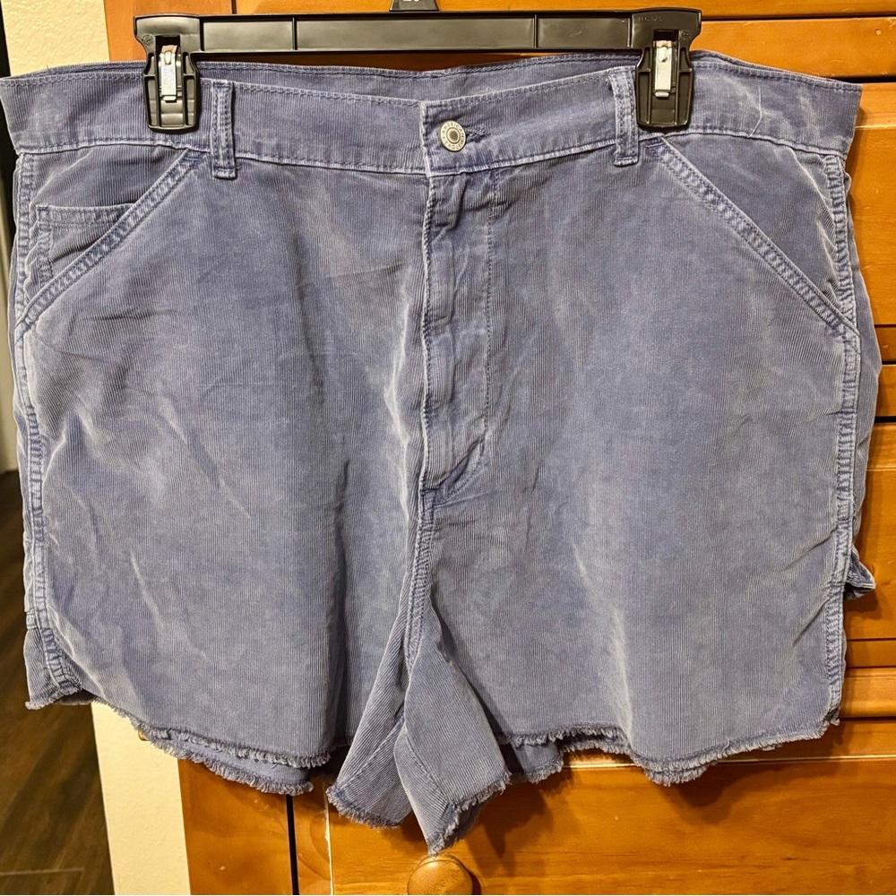 American Eagle Outfitters Light Blue Women's Flat Front Shorts